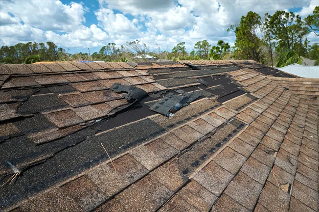 Roofing Home Inspection Services